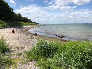 a person sitting on a beach near the water at Reetdachkate Fuchsgraben - naturnah & stilvoll mit Wald-Sauna in Steinbergkirche