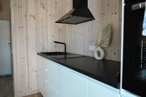 Кухня или мини-кухня в Kintų Perlas Vila dviems VI
 +3 фотографии