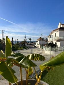 a green plant in front of a street with buildings at Casa Paz en Benajarafe in Benajarafe