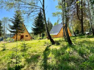 a barn in a field with trees and grass at Domki w Lesie Tylicz in Tylicz