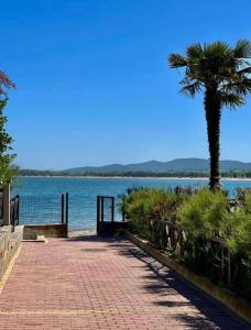 チェルノモレツにあるRelaxing apartment - 100 meters from the seaの水辺のヤシの木とレンガの歩道 +14枚の写真