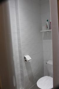 a bathroom with a toilet and a toilet paper dispenser at Bel appartement au pied des pistes 9 personnes in Saint-Lary-Soulan