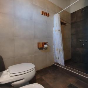 un baño con inodoro y ducha en Flores del Limay Cabañas, en Dina Huapi