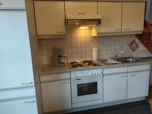 a small kitchen with a stove and a sink at Ferienhof Alte Schmiede in Burgpreppach
