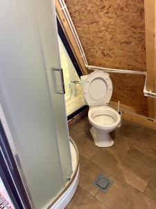 a small bathroom with a toilet in a room at Apartman Vučković in Žune