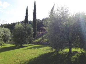 Vonkajšia záhrada v ubytovaní Podere La Casina