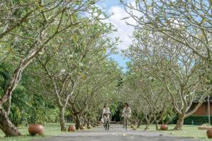 Ein Garten an der Unterkunft Splash Beach Resort, Maikhao Phuket