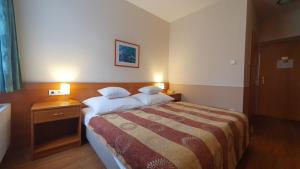 Postel nebo postele na pokoji v ubytování Hotel Baross