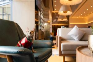 Istumisnurk majutusasutuses ibis Styles Mysuru