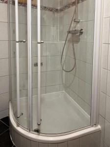 a shower with a glass door in a bathroom at Appartementgitti in Hallstatt