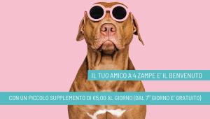 Domácí mazlíčci ubytovaní s hosty v ubytování Hotel B&B Nizza Riccione