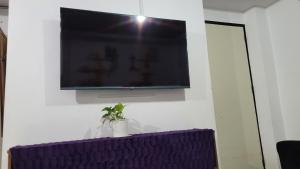 a plant in a vase sitting under a flat screen tv at Cozy Casa in the City Center in Baguio