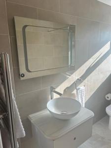 a bathroom with a white sink and a mirror at The Little Fern in Oxford