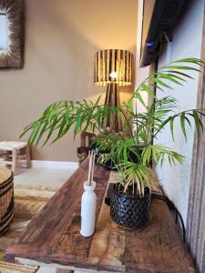 Fotografie z fotogalerie ubytování Boho Nest v destinaci Rosporden