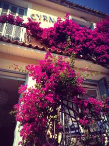 a bunch of pink flowers on the side of a building at Hotel Cyrnos in Cargèse