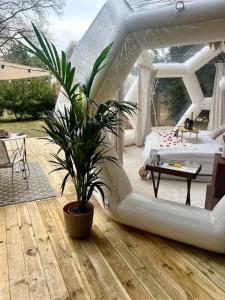 a bedroom with a white bed and a potted plant at Le Dôme du Lac in Prouilly +13 photos