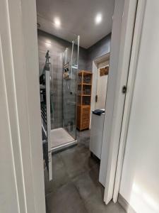 a bathroom with a walk in shower and a glass door at Le cocon du Zoo de Beauval in Mareuil-sur-Cher +23 photos