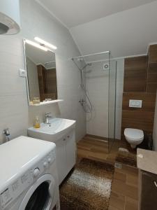 a bathroom with a washing machine and a sink at Apartman trebevic Pahuljica Sarajevo in Luke