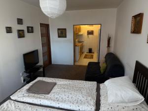 una sala de estar con un sofá y una cama en Apartmán Kamýk, en Praga