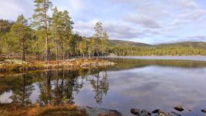 a view of a lake with trees on the shore at Villa Ka Stor Elvdal in Koppang +31 photos