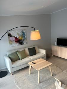 TV a/nebo společenská místnost v ubytování Private Chalet + 14 fotografií