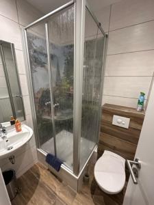 Koupelna v ubytování Ferienwohnungen Am Westerntor Amber Pepe und Paula inkl Parkplatz + 25 fotografií