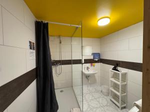 a bathroom with a shower and a toilet and a sink at Downtown Family&Friends in Interlaken +27 photos