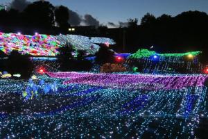 Fotografija u galeriji objekta コテージ大室山 u gradu Ito
