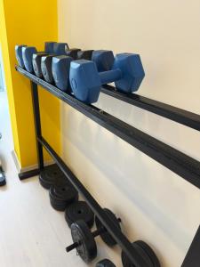 The fitness centre and/or fitness facilities at Akayda Butik Hotel