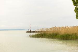 Imagen de la galería de Gesztenye Nyaralópark, en Balatonudvari