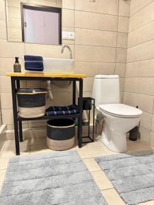 ein Badezimmer mit Waschbecken und Toilette in der Unterkunft EVIS LTD apartments Gudauri in Gudauri + 15 Fotos