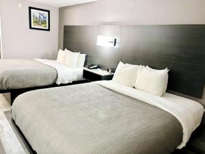 Voodi või voodid majutusasutuse Quality Inn Raynham - Taunton toas