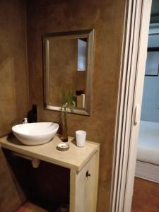 a bathroom with a sink and a mirror at Travelers Nest in St Lucia