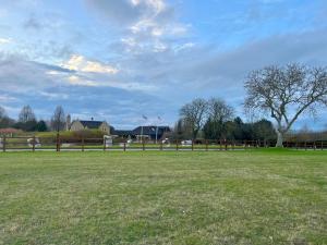 a field of grass with a fence and a tree at Magog View in Sawston