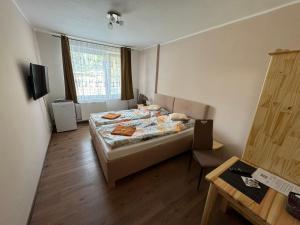 una camera con letto, finestra e tavolo di Penzion Pavel a Karlovy Vary