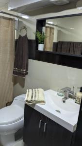 PampatarにあるExcelente full Equipado para 6 personasの洗面台、トイレ、鏡のあるバスルーム +14枚の写真