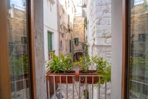 Zahrada ubytování L'ARCO ANTICO - Una Casa sul Mare
