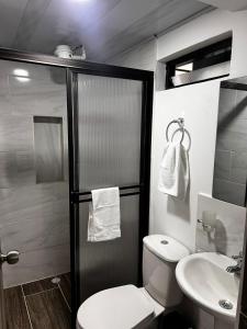 マニサレスにあるUn lugar acogedor y confortableのトイレと洗面台のある小さなバスルーム