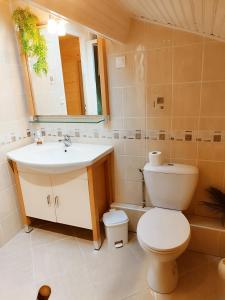 Un baño con inodoro, lavabo y espejo. en Bel appartement proche Saint Lary Soulan, en Vielle-Aure