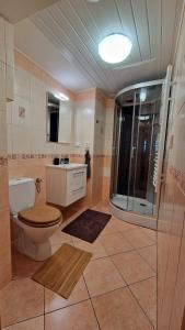 Koupelna v ubytování Apartmán Fany III