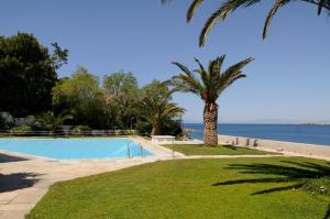 a swimming pool with a palm tree next to the water at Kavouri Flat in Athens