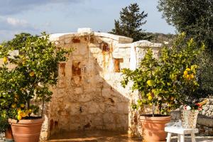 Vonkajšia záhrada v ubytovaní IL Trullo Di Mamma Lucia-Luxury Villa