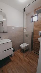 a bathroom with a shower and a toilet and a sink at Vila Silvana in Moieciu de Jos +41 photos