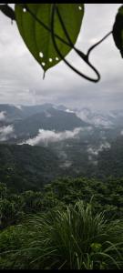 Φωτογραφία από το άλμπουμ του Mistyland σε Mamalakandam