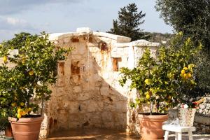 Vonkajšia záhrada v ubytovaní IL Trullo Di Mamma Lucia-Luxury Villa