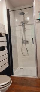 a shower in a bathroom with a toilet at La Chambrette in Salon-de-Provence +23 photos