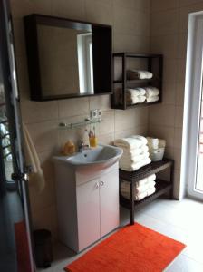 Kuchyňa alebo kuchynka v ubytovaní Apartment Karpacz + 23 fotografií