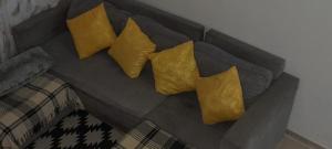 four yellow pillows on a gray couch at Macaw Villa in Mossel Bay +33 photos