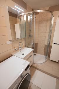 Koupelna v ubytování Apartmán Radvanička + 37 fotografií