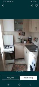 Una pequeña cocina con estufa y fregadero. en Apartament Zeyn, en Buzau